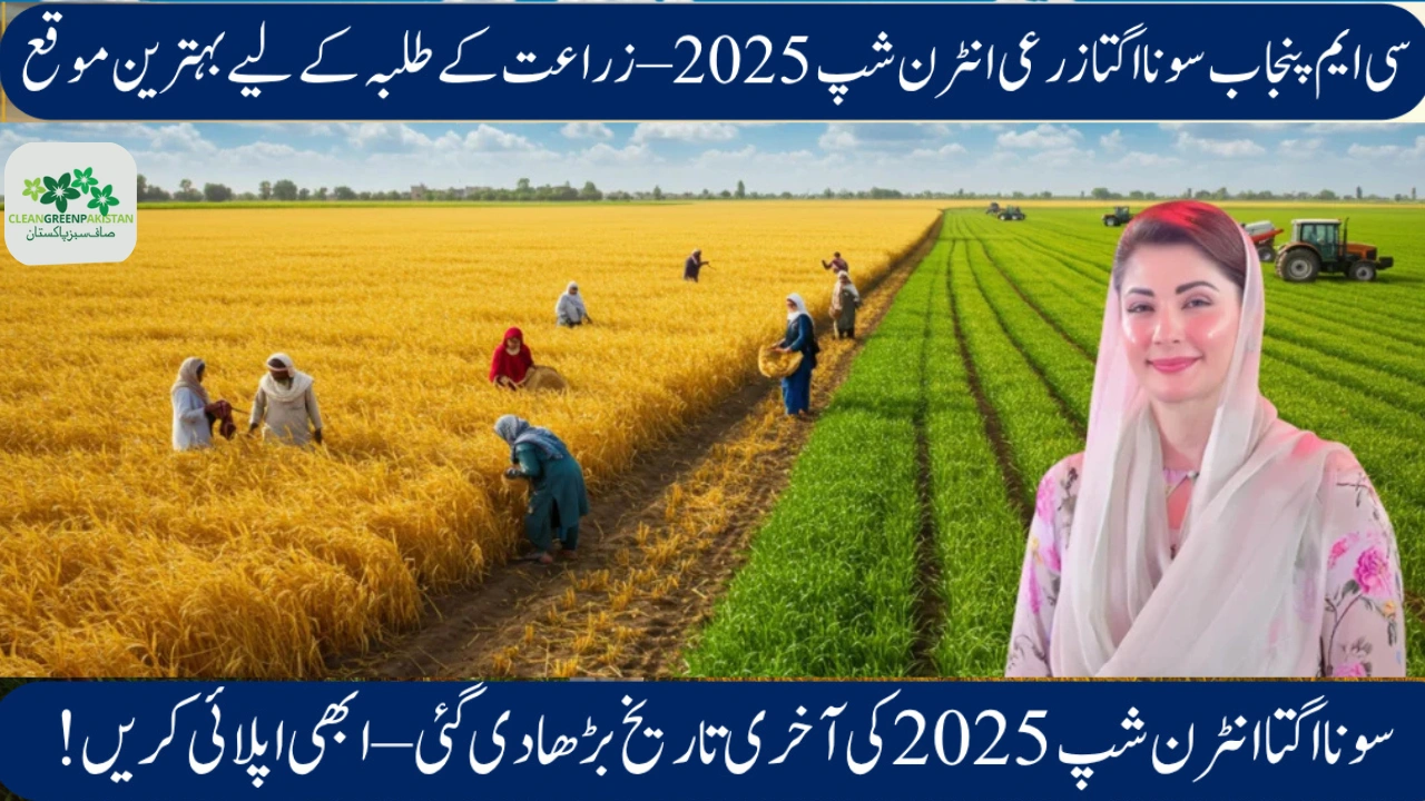 CM Punjab Sona Ugta Punjab Scheme 2025 – Zarai Internship with Rs. 60,000 Monthly Stipend