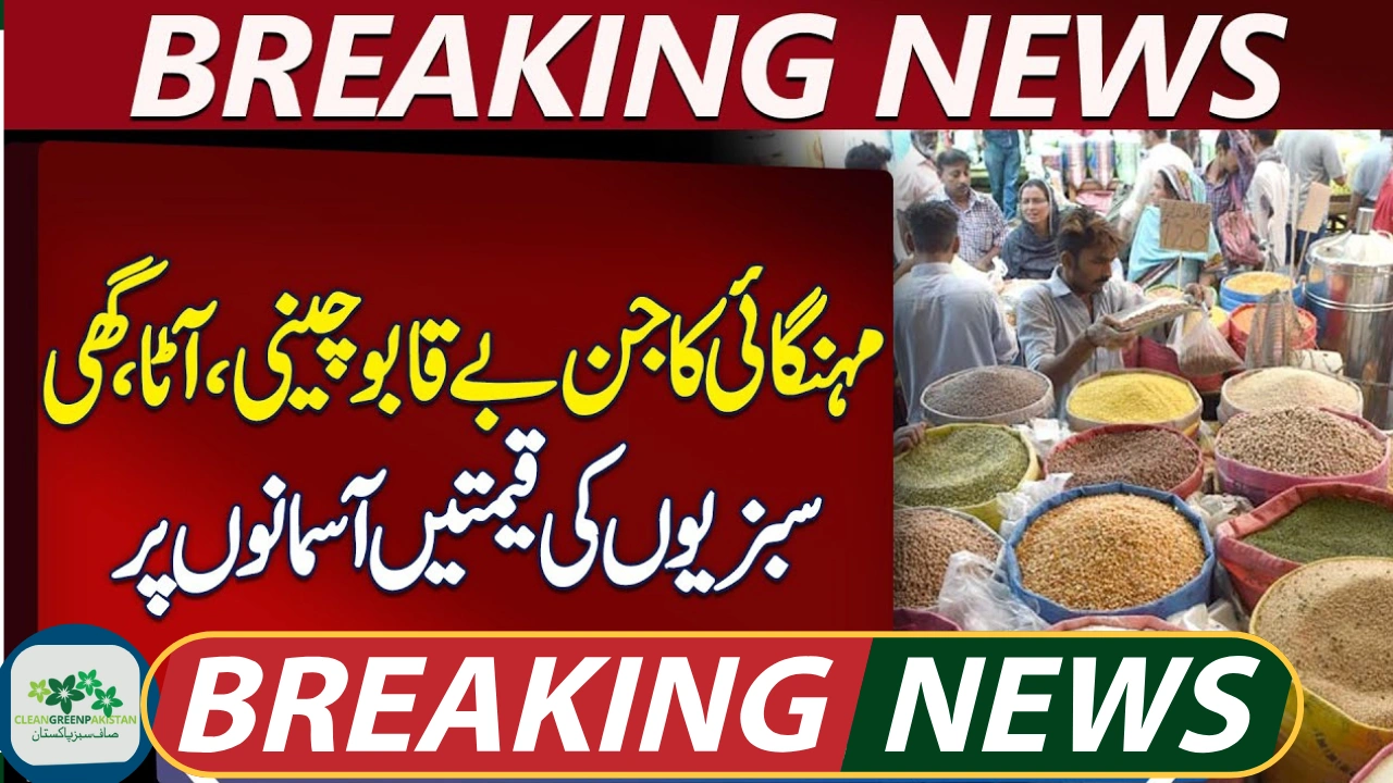 Cooking Oil & Ghee Prices in Pakistan Rise by Rs12 Per Kg – Full Updated Rate List
